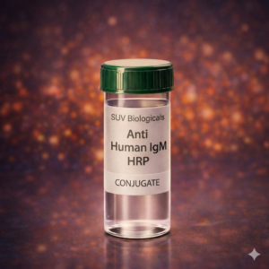 Anti Human IgM HRP