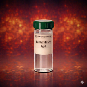 Biotinylated BSA