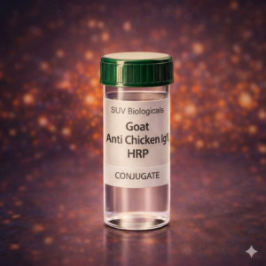 Goat Anti Chicken IgY HRP