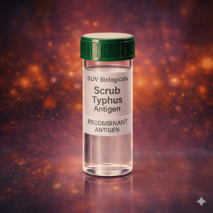 Scrub Typhus