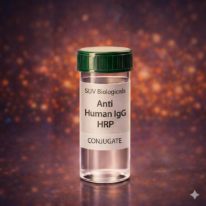 Anti Human IgG HRP