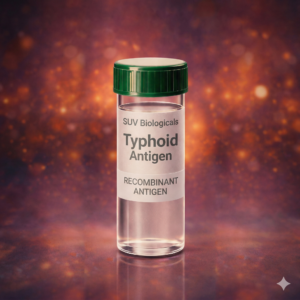 Typhoid
