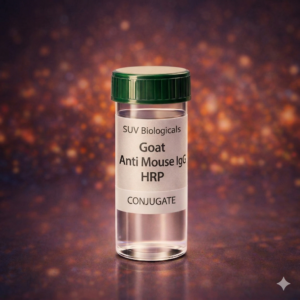 Goat Anti Mouse IgG HRP