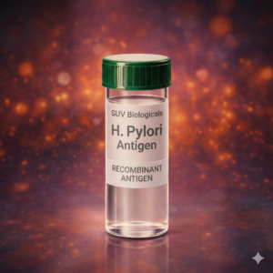 H. Pylori