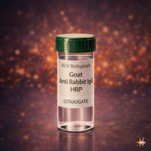 Goat Anti Rabbit IgG HRP
