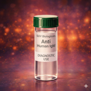 Anti Human IgM